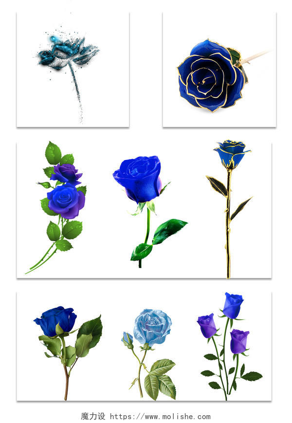 8个单只蓝色玫瑰花素材
